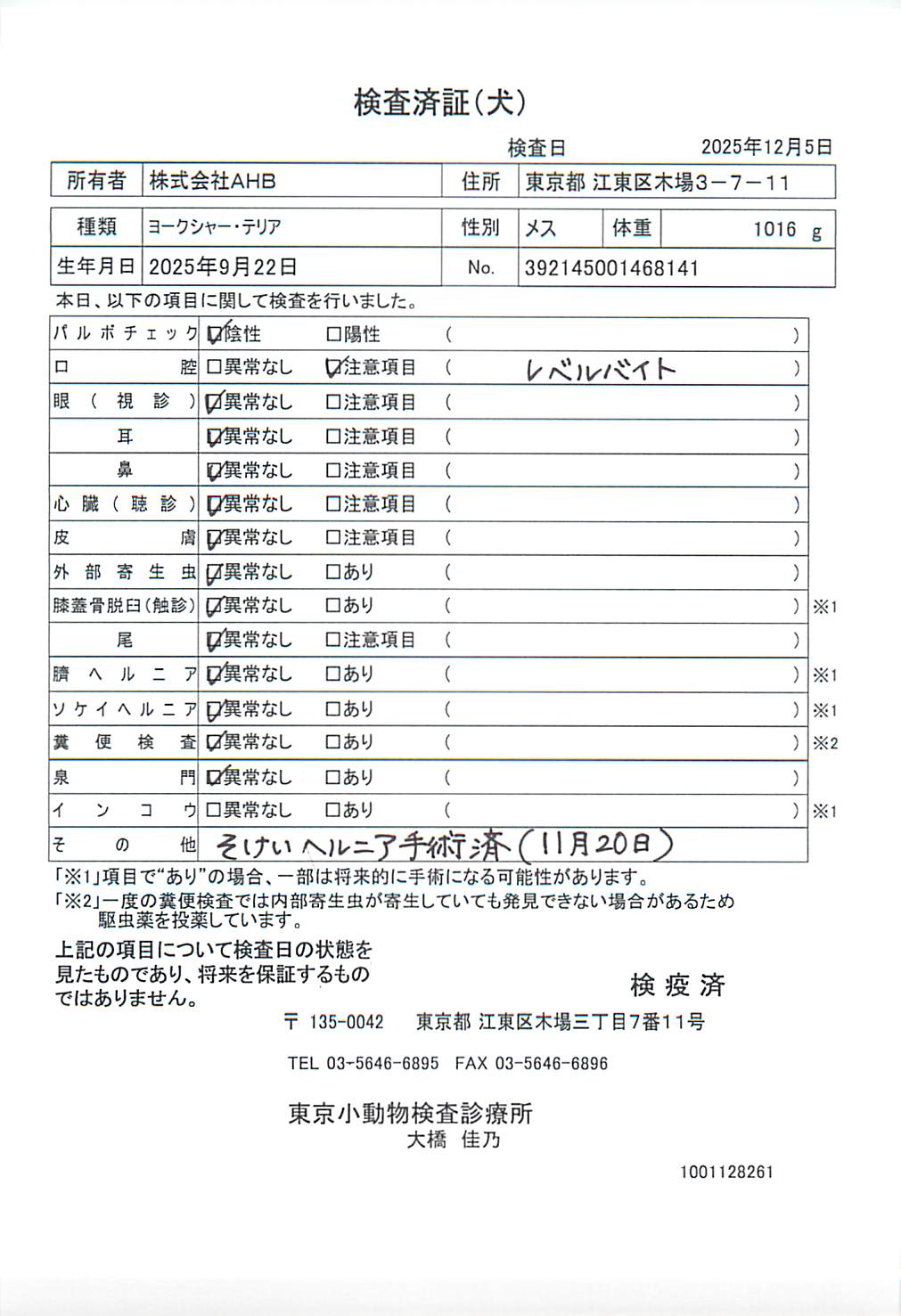 ヨークシャー・テリア