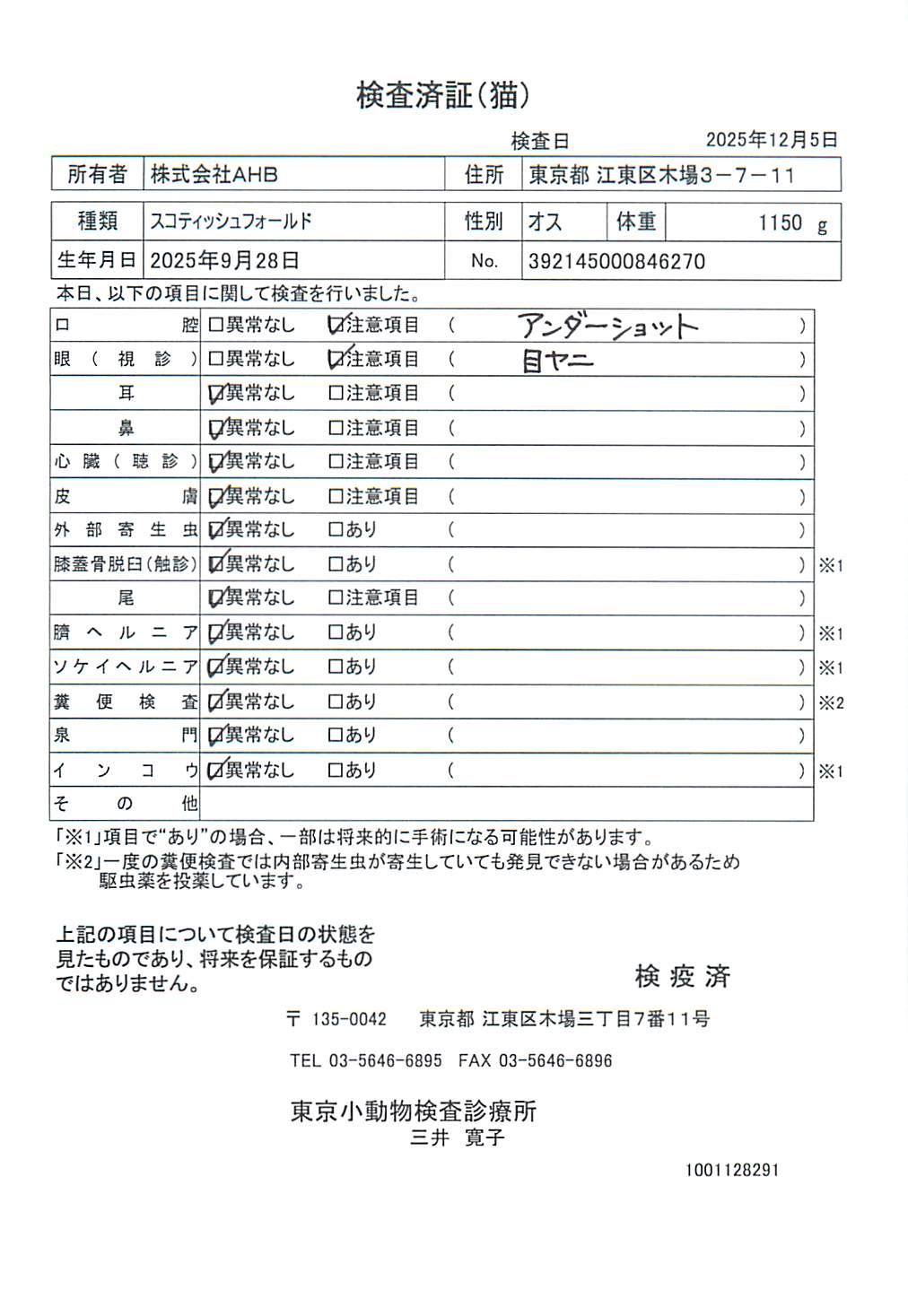 スコティッシュフォールド