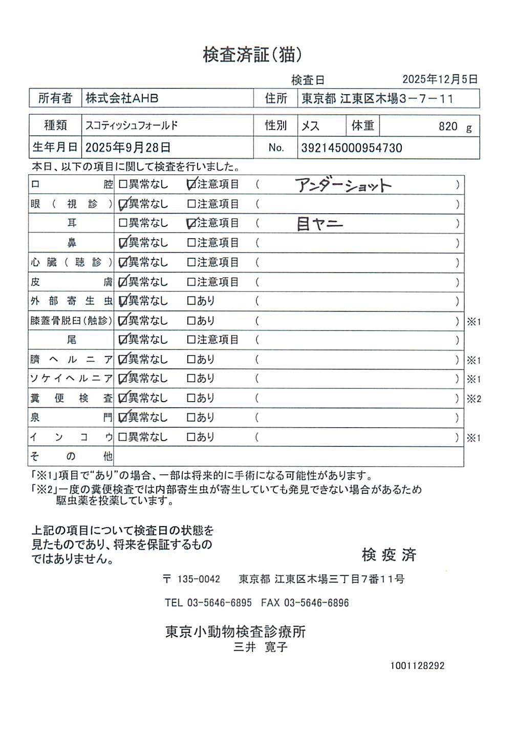 スコティッシュフォールド