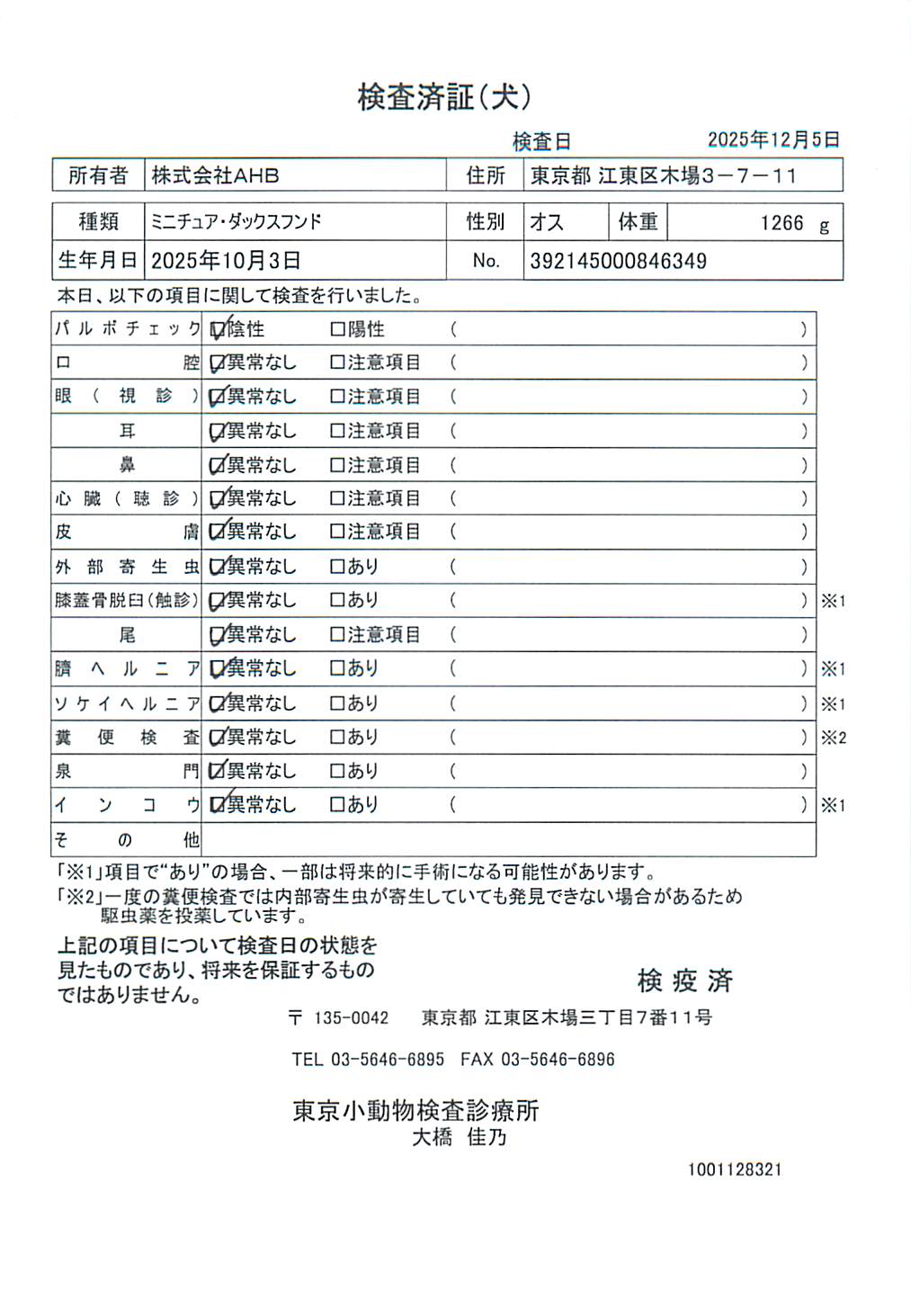 ミニチュア・ダックスフンド