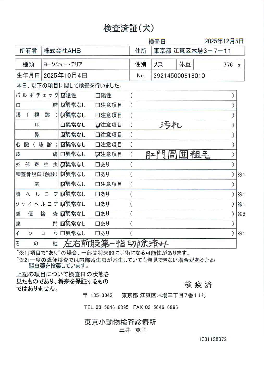 ヨークシャー・テリア