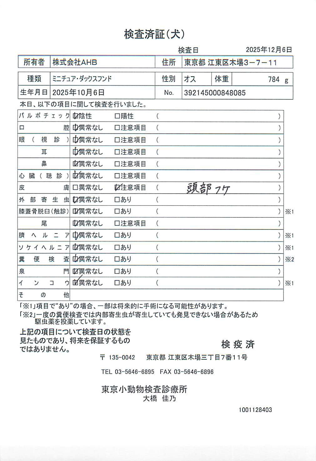 ミニチュア・ダックスフンド