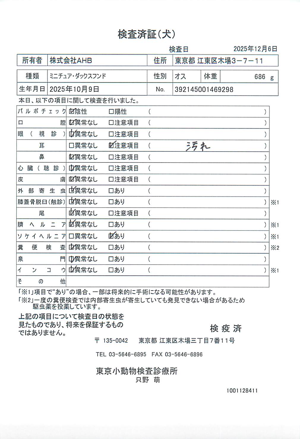 ミニチュア・ダックスフンド