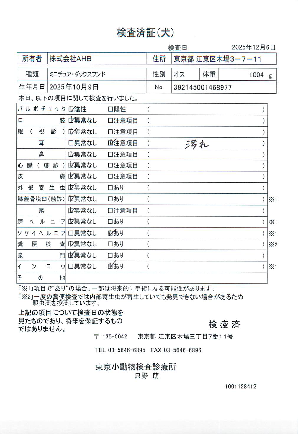 ミニチュア・ダックスフンド