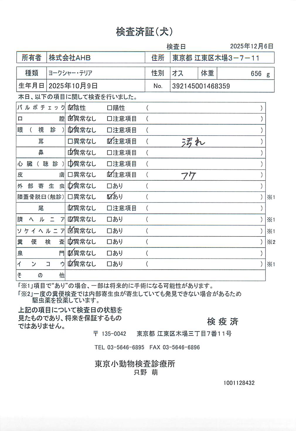 ヨークシャー・テリア
