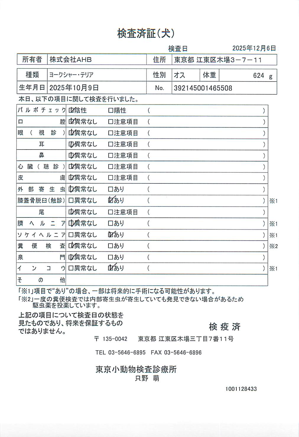 ヨークシャー・テリア