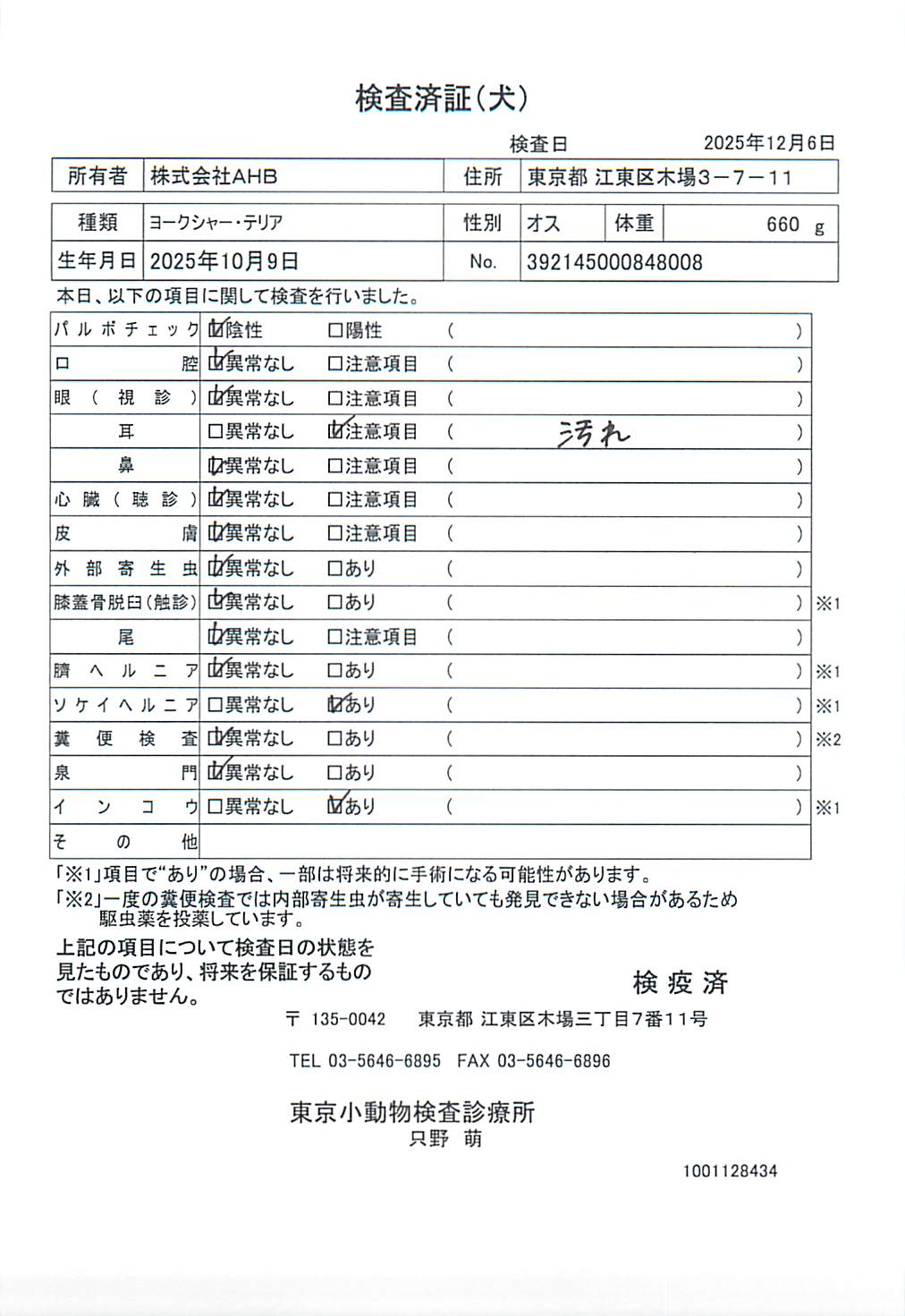 ヨークシャー・テリア