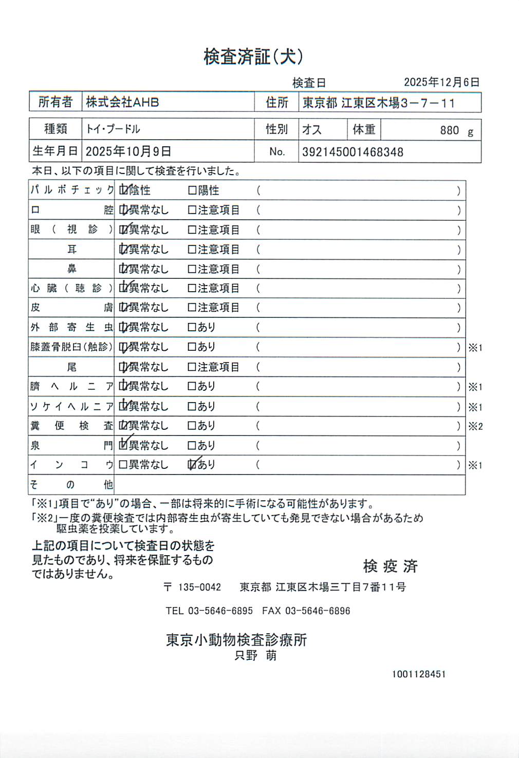 トイ・プードル