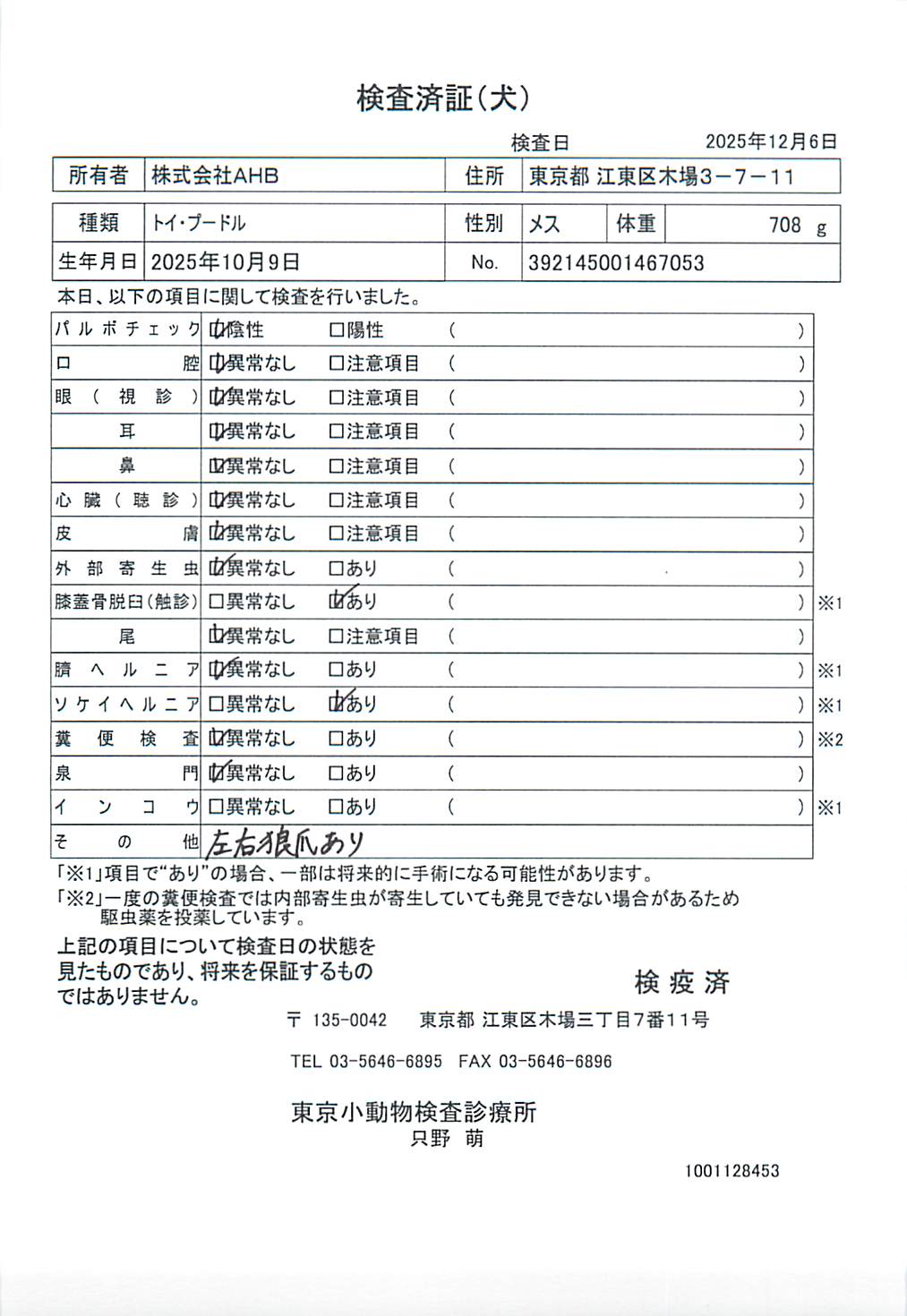 トイ・プードル