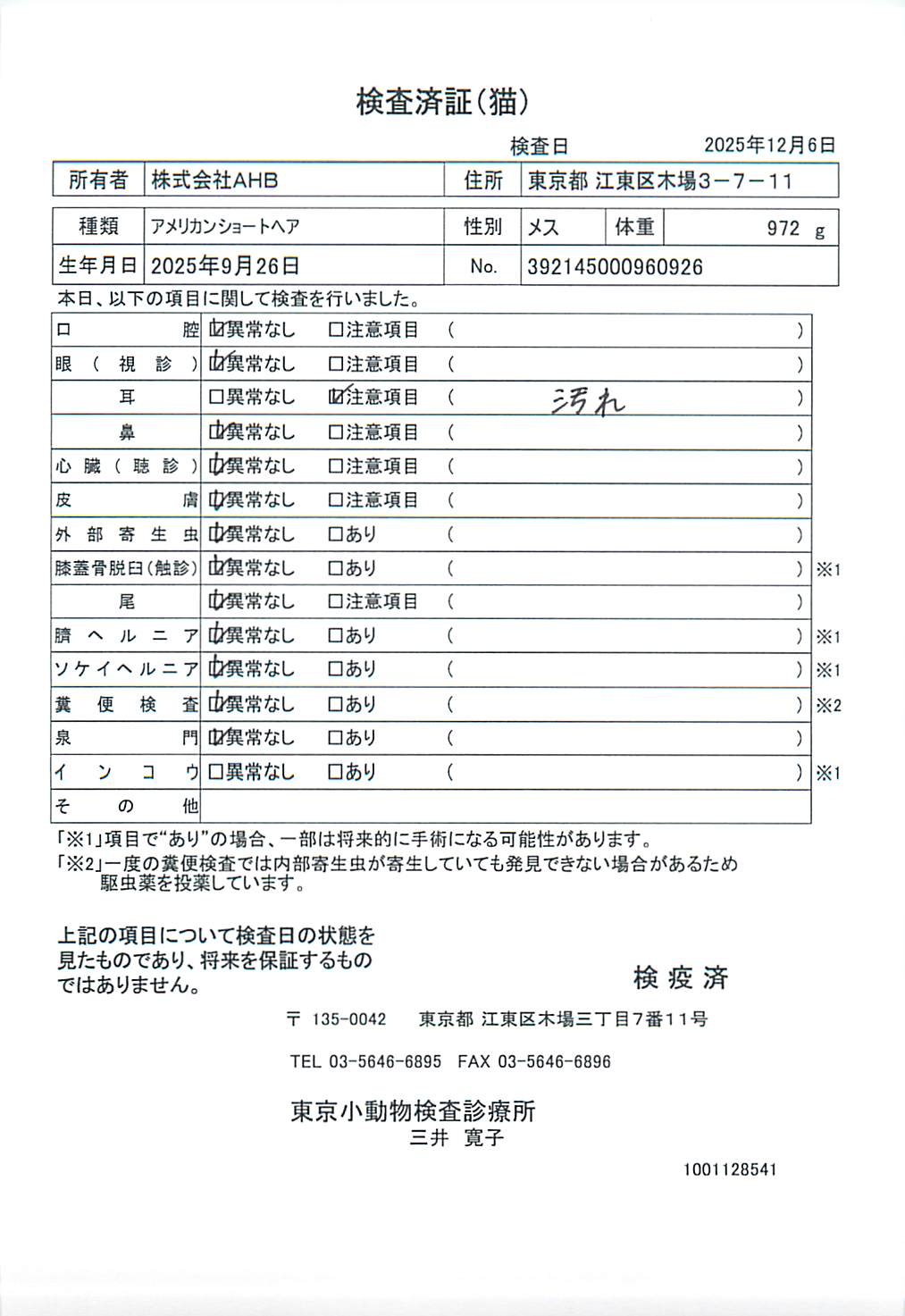 アメリカンショートヘア