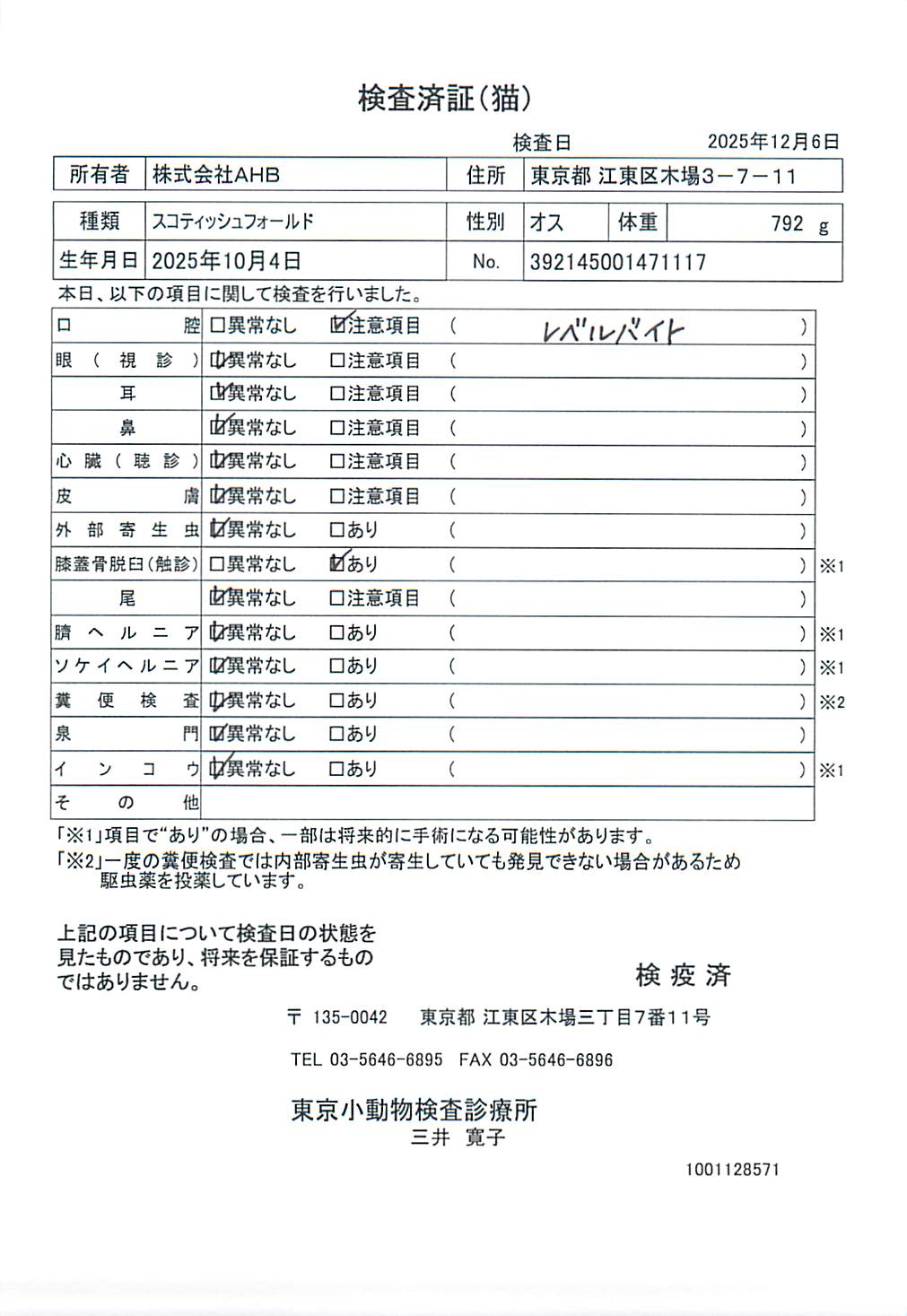 スコティッシュフォールド