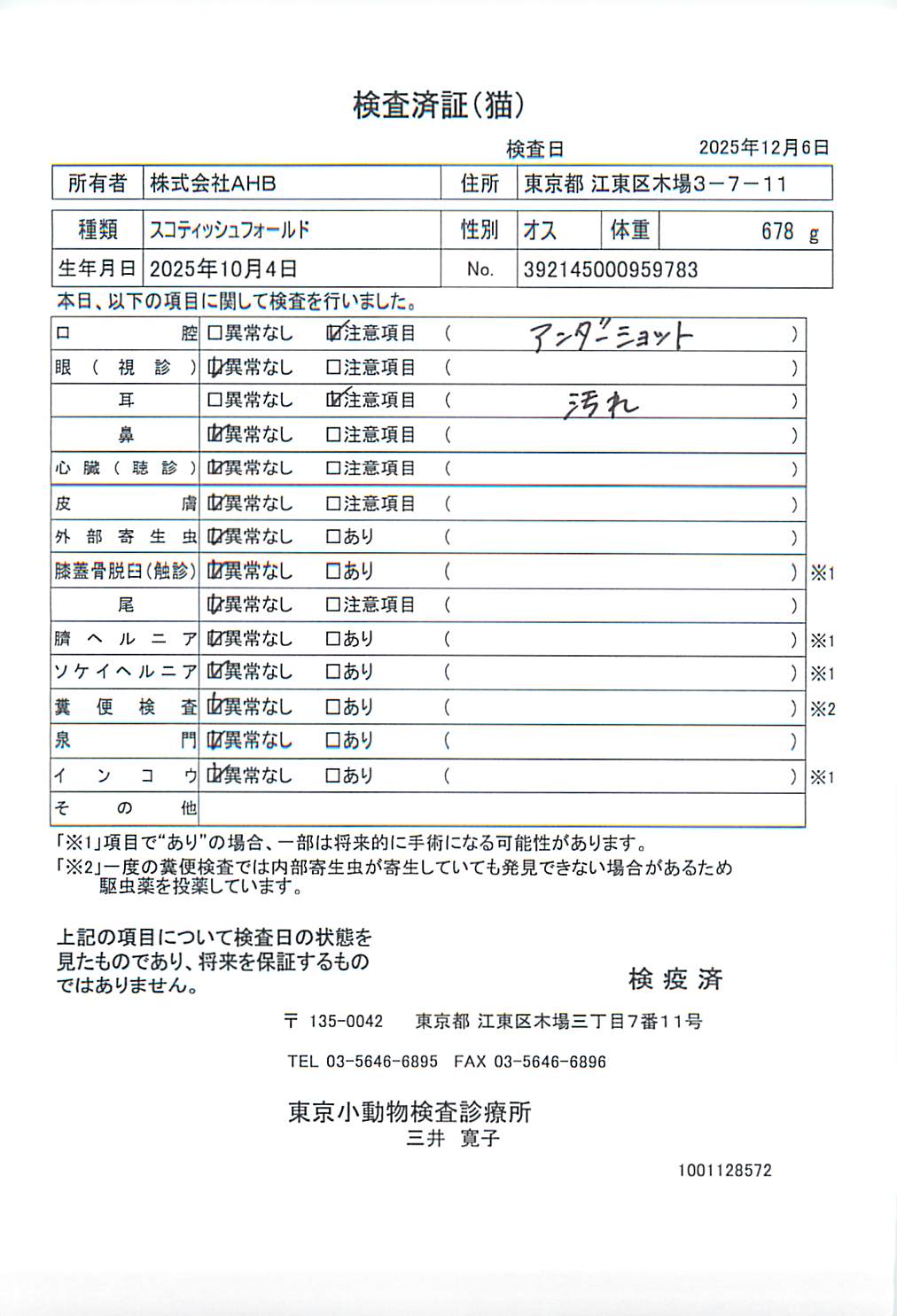 スコティッシュフォールド