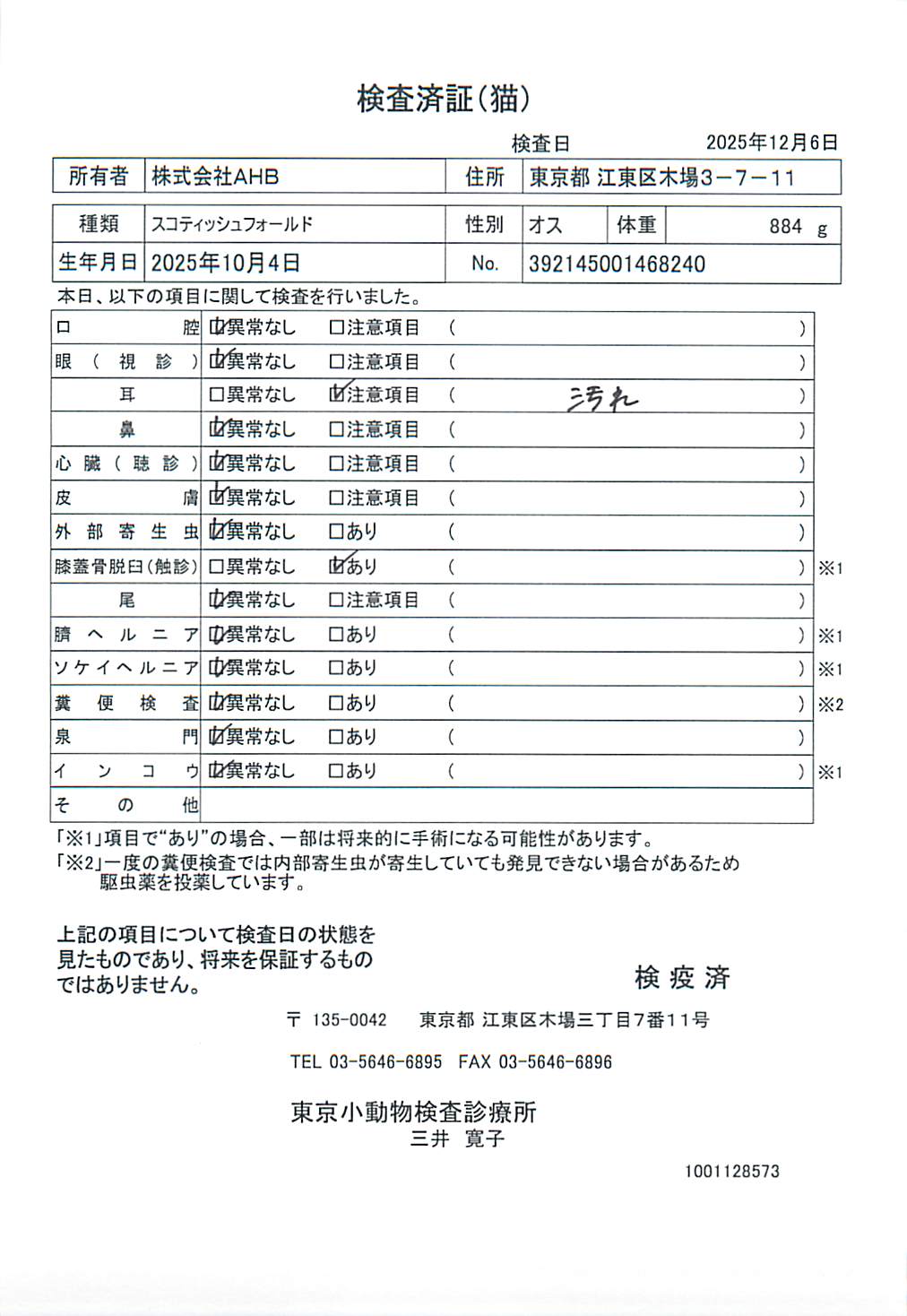 スコティッシュフォールド