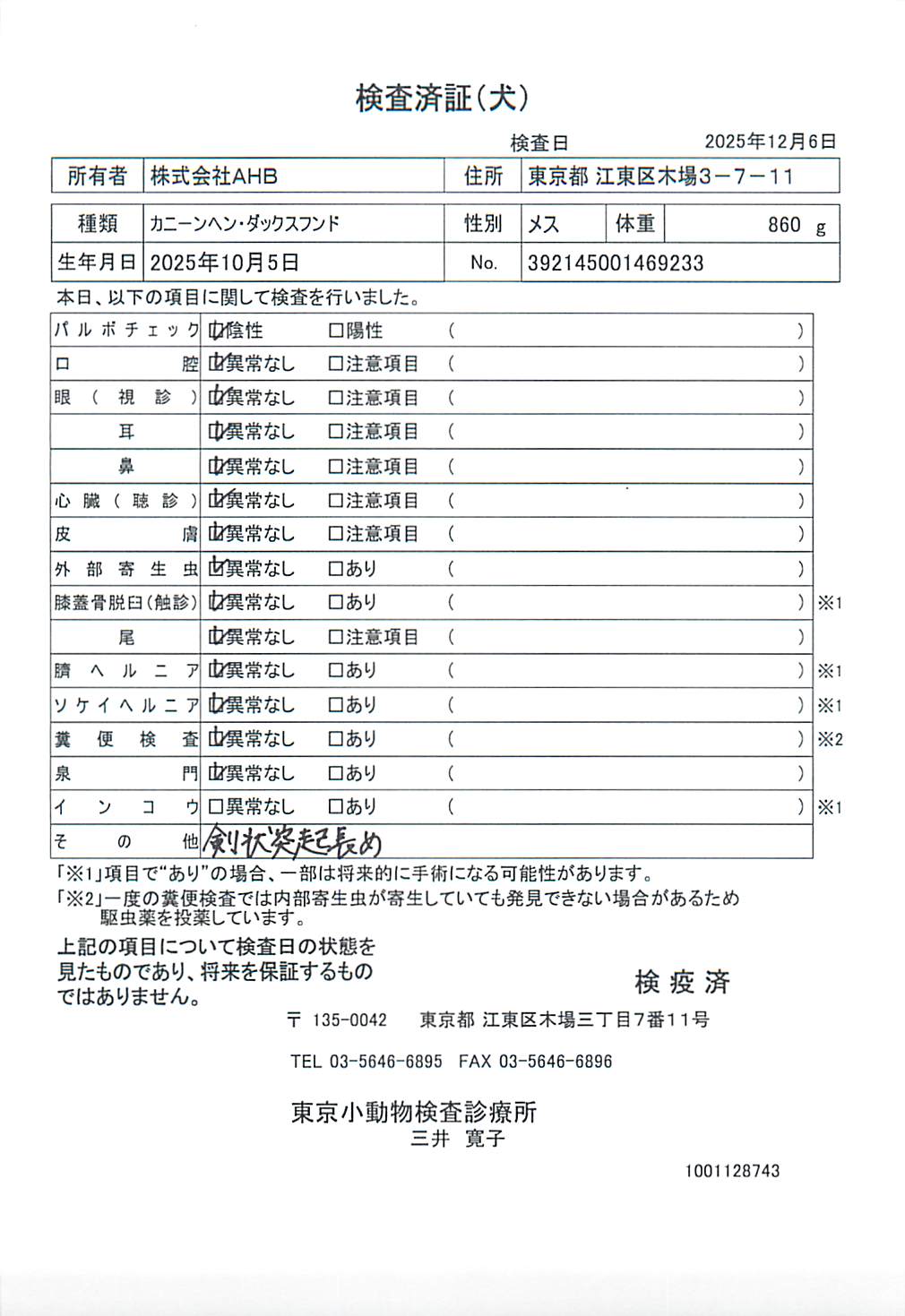 カニーンヘン・ダックスフンド