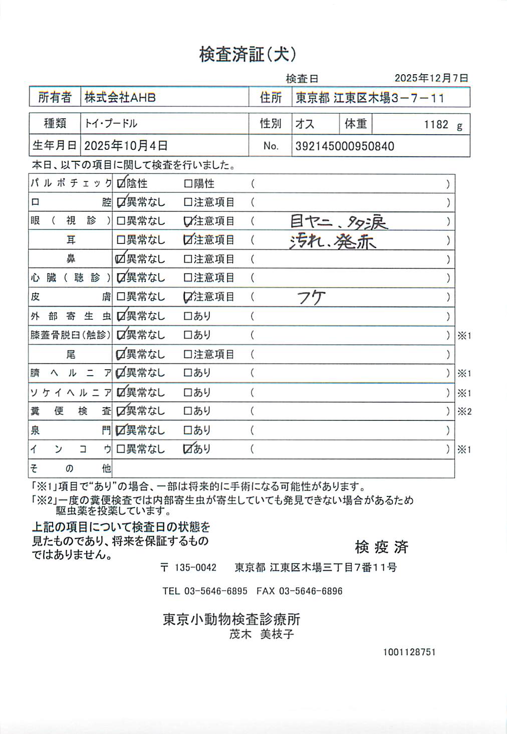 トイ・プードル