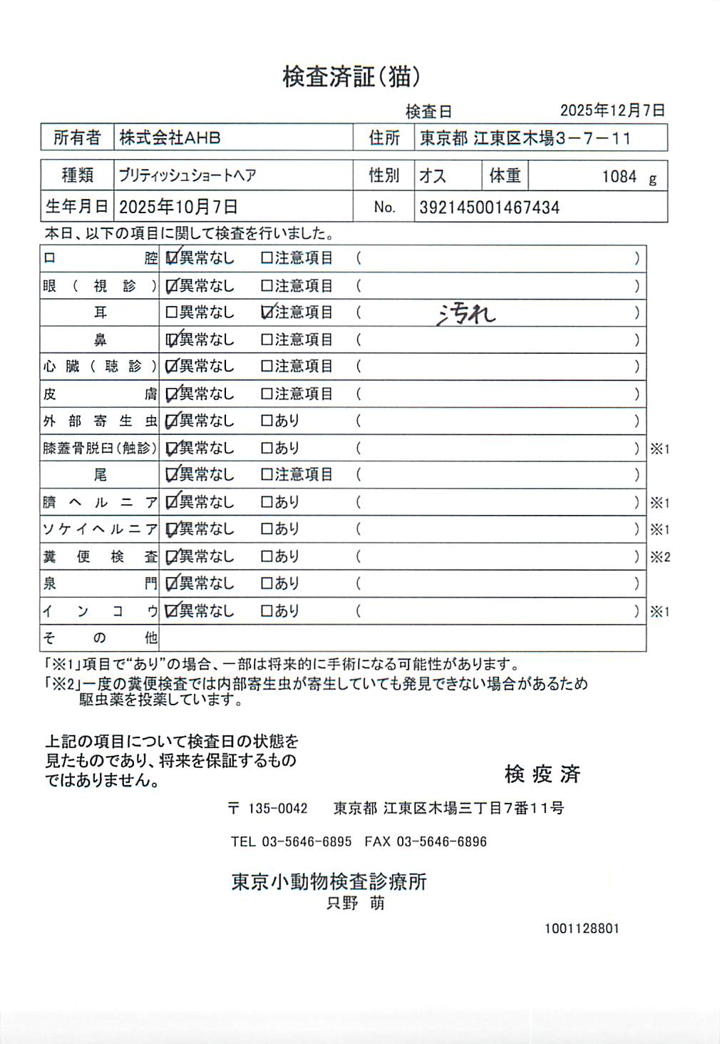 ブリティッシュショートヘア