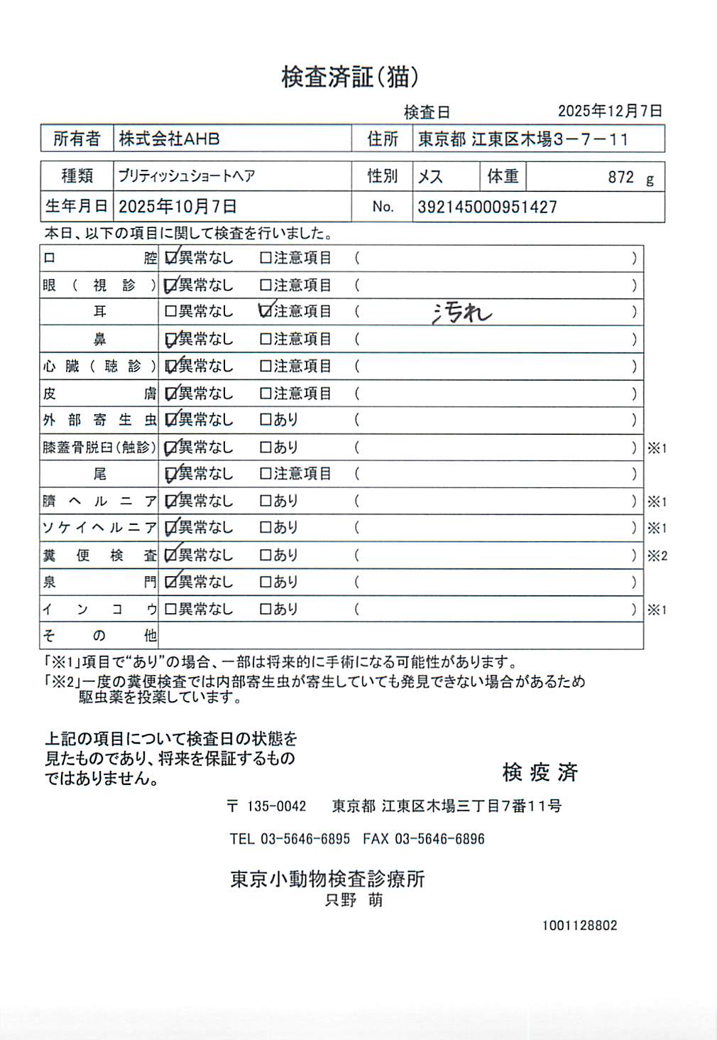 ブリティッシュショートヘア
