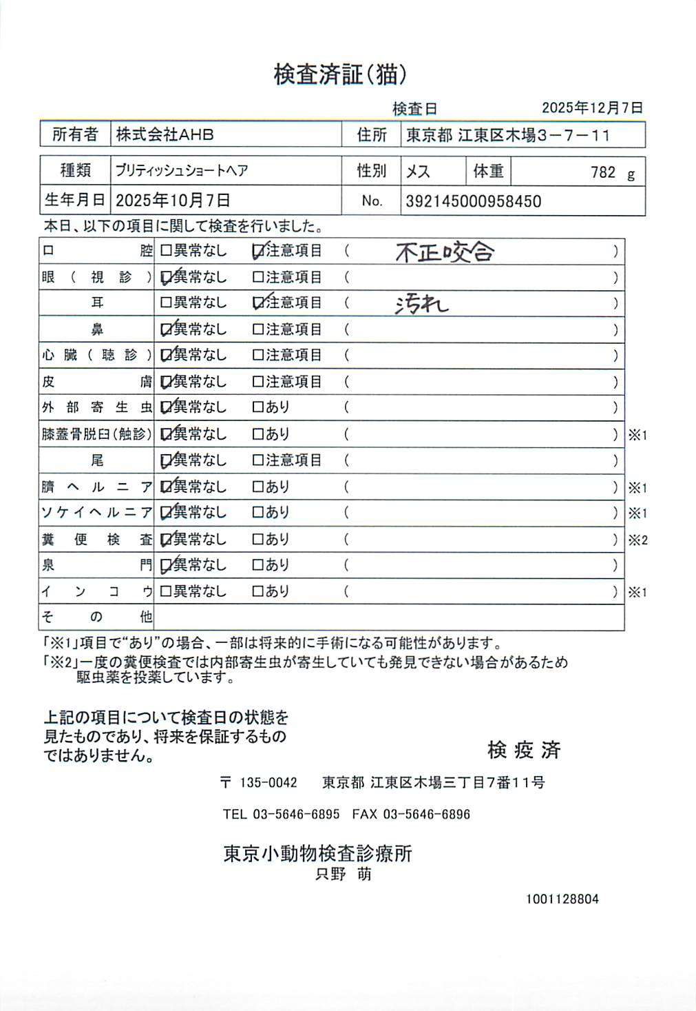 ブリティッシュショートヘア