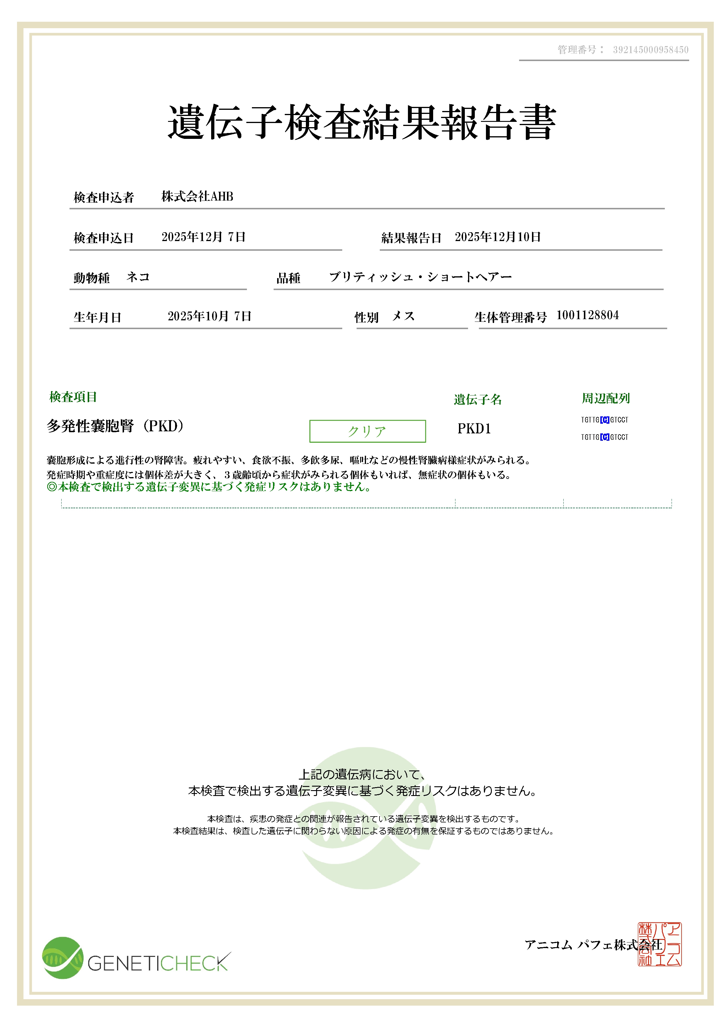 ブリティッシュショートヘア