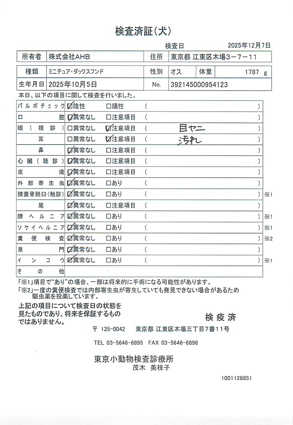 ミニチュア・ダックスフンド
