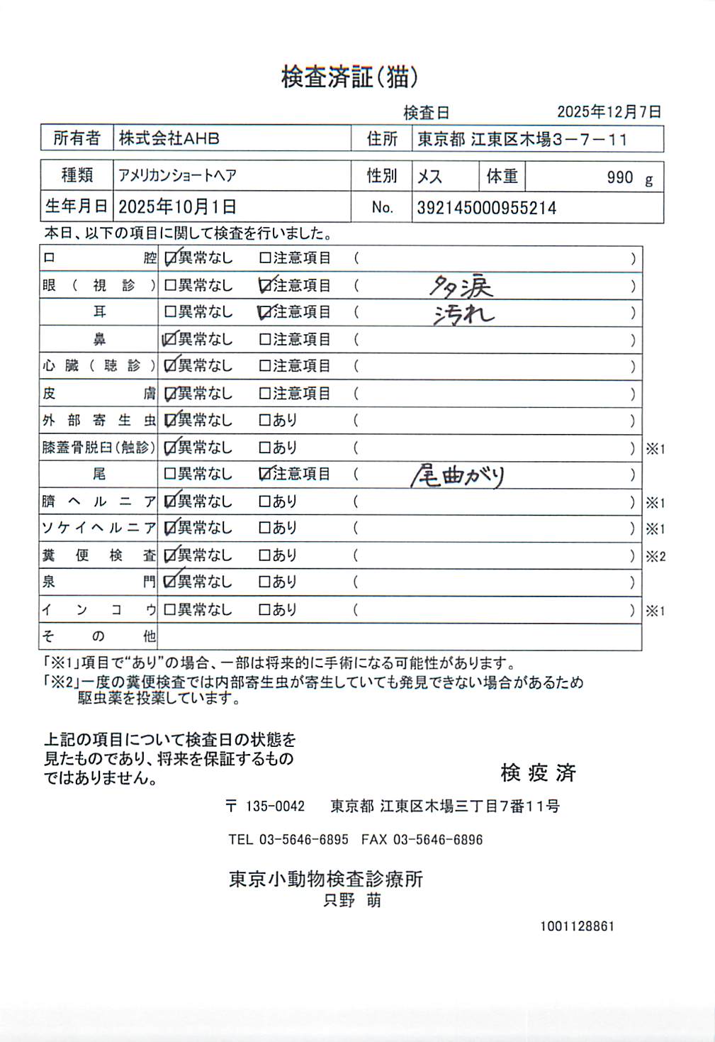 アメリカンショートヘア