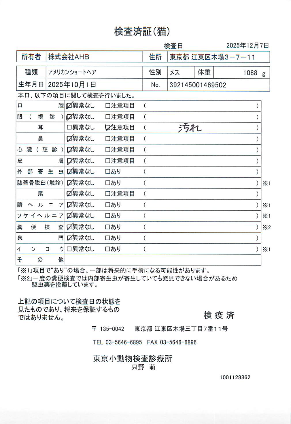 アメリカンショートヘア