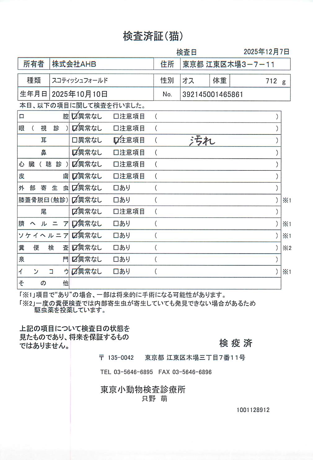 スコティッシュフォールド