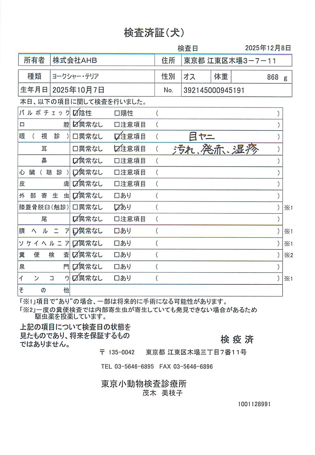 ヨークシャー・テリア