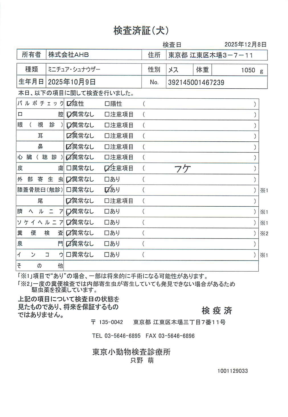 ミニチュア・シュナウザー