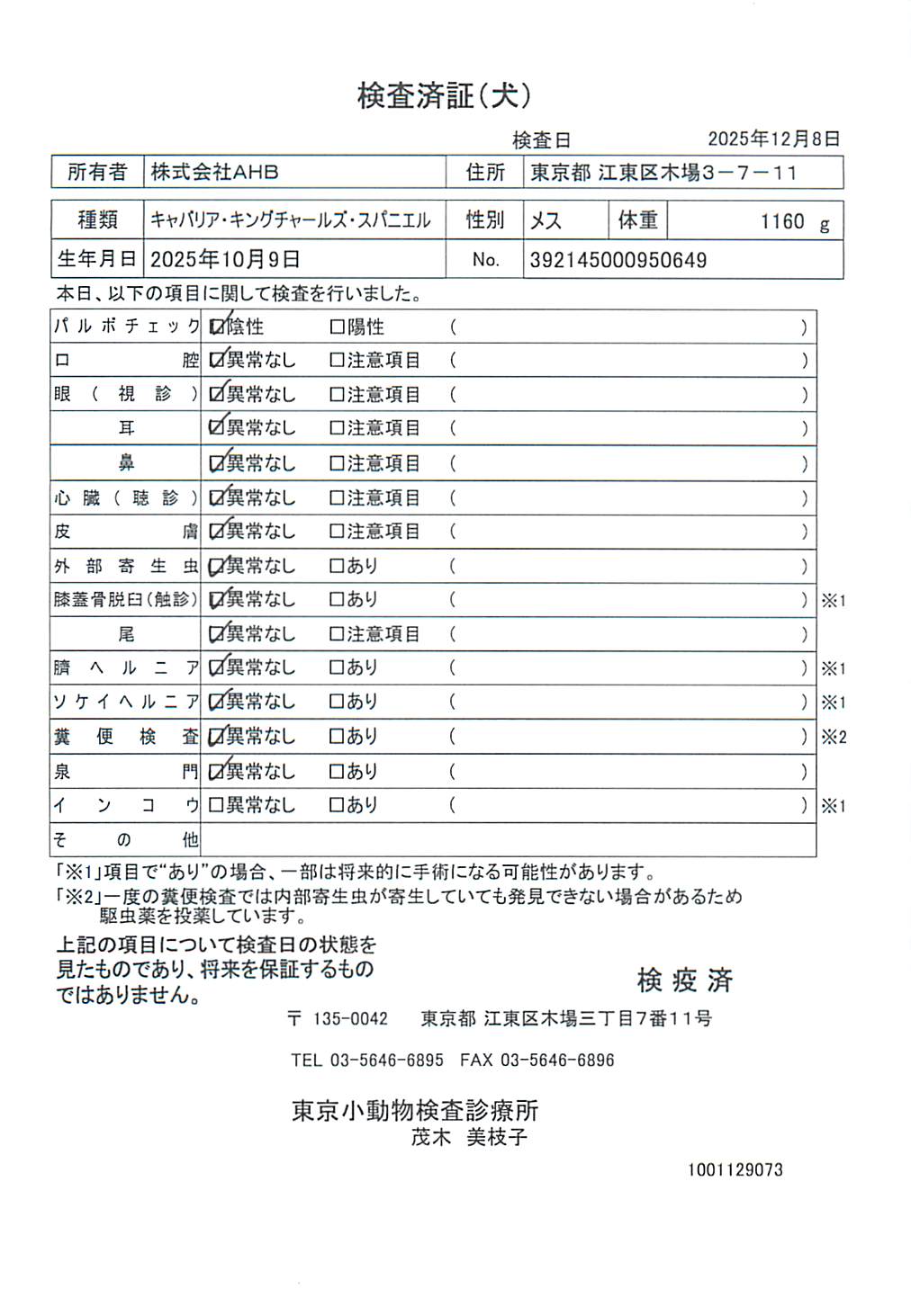 キャバリア・キングチャールズ・スパニエル