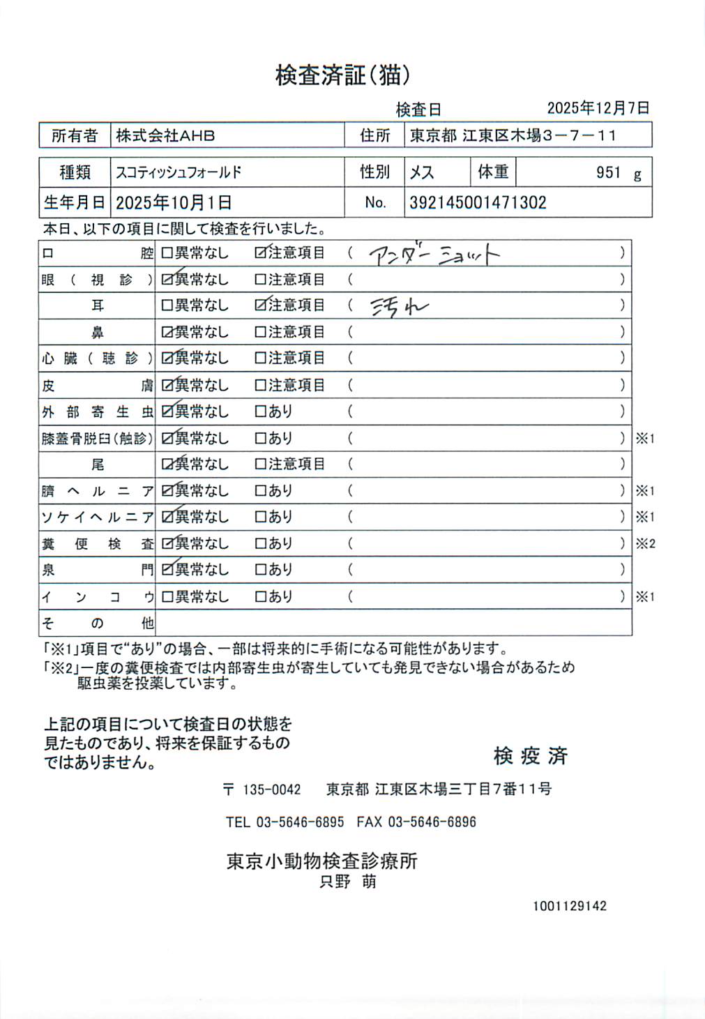 スコティッシュフォールド