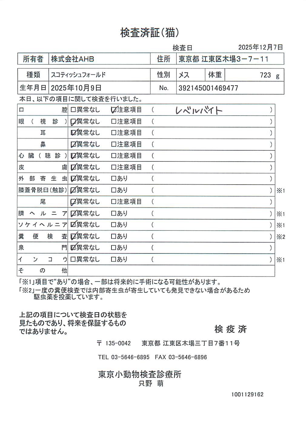 スコティッシュフォールド