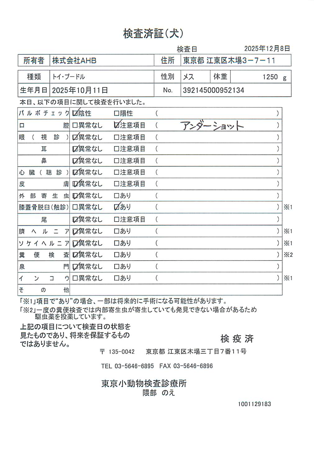 トイ・プードル