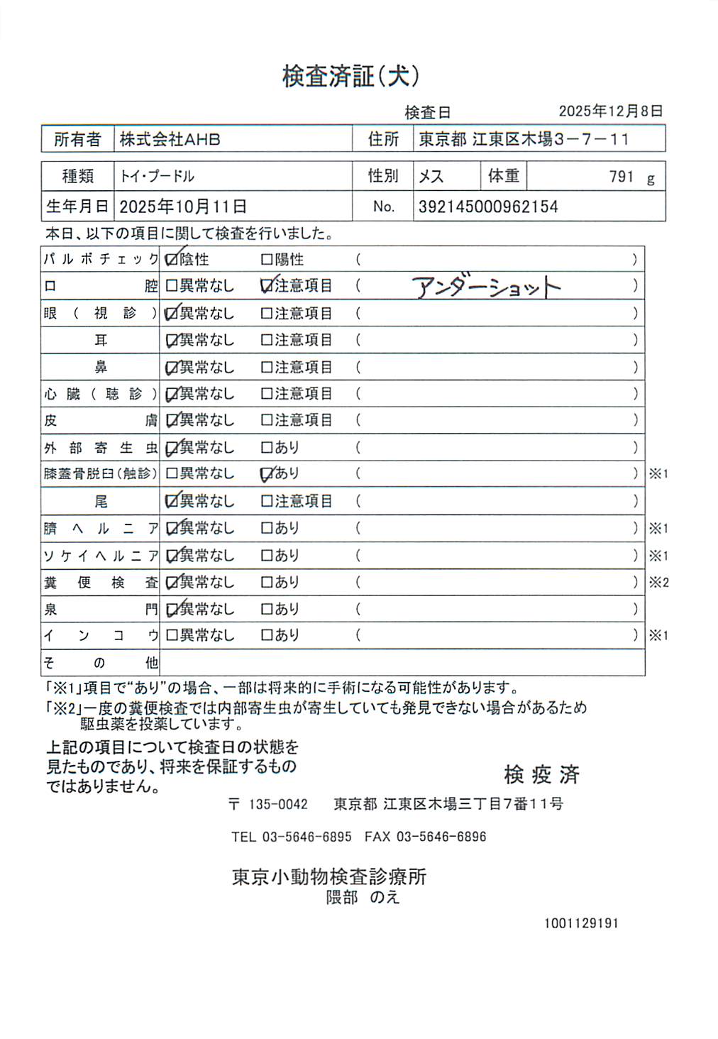 トイ・プードル