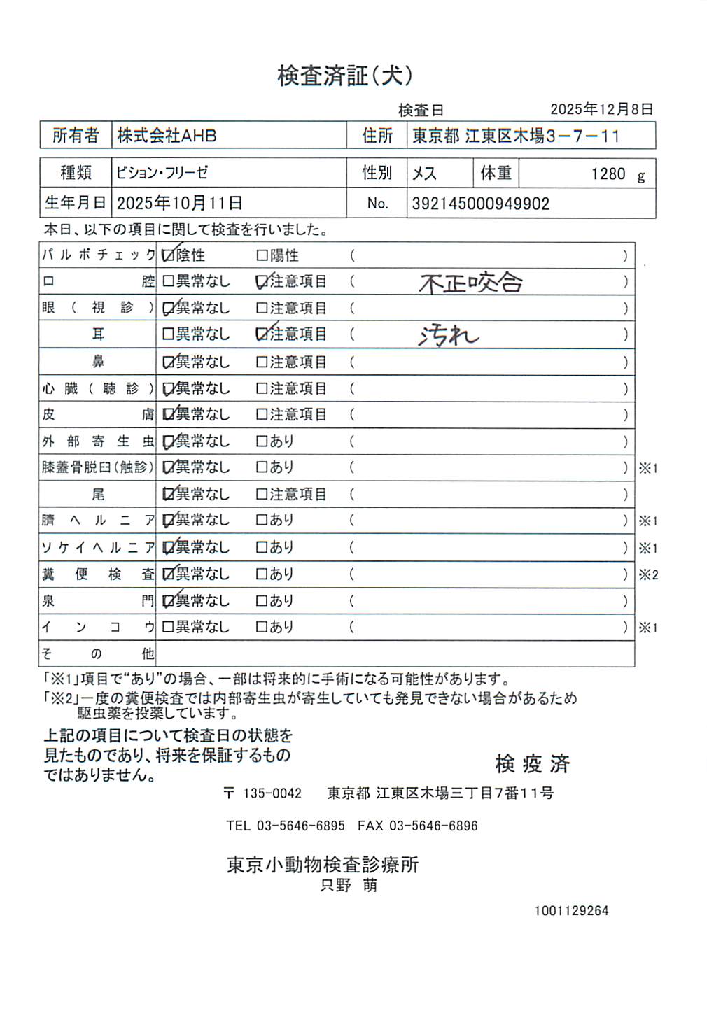 ビション・フリーゼ