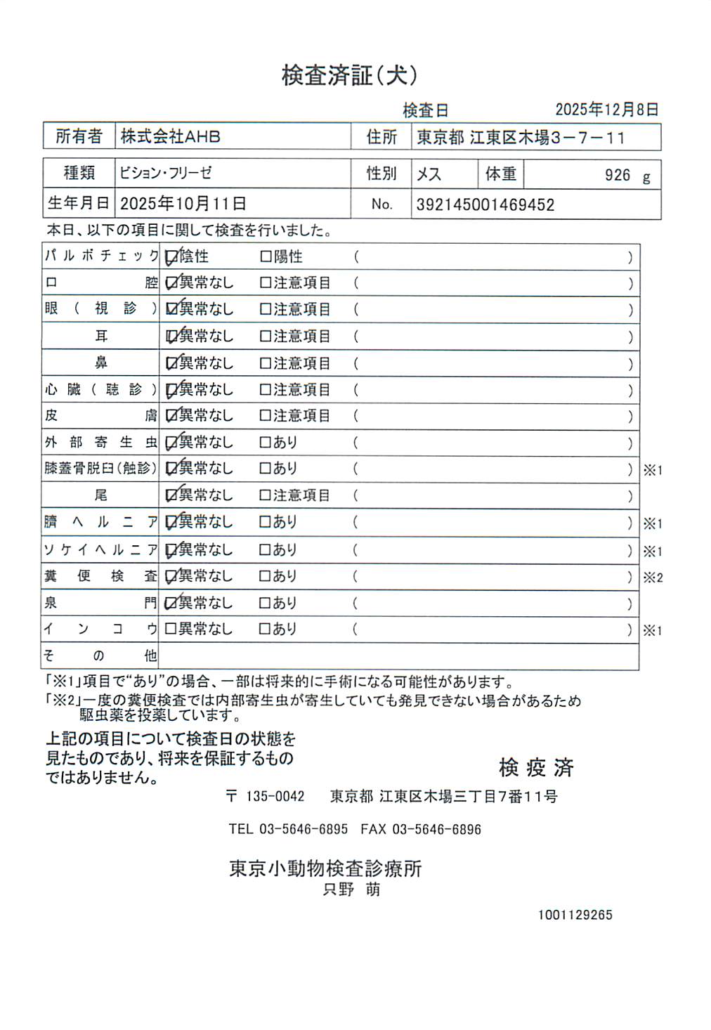 ビション・フリーゼ