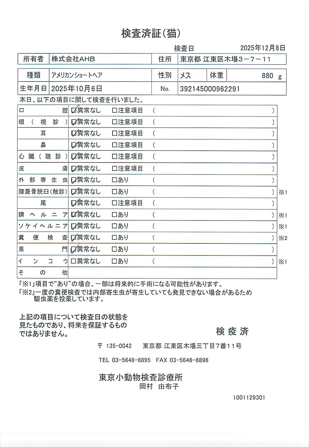 アメリカンショートヘア