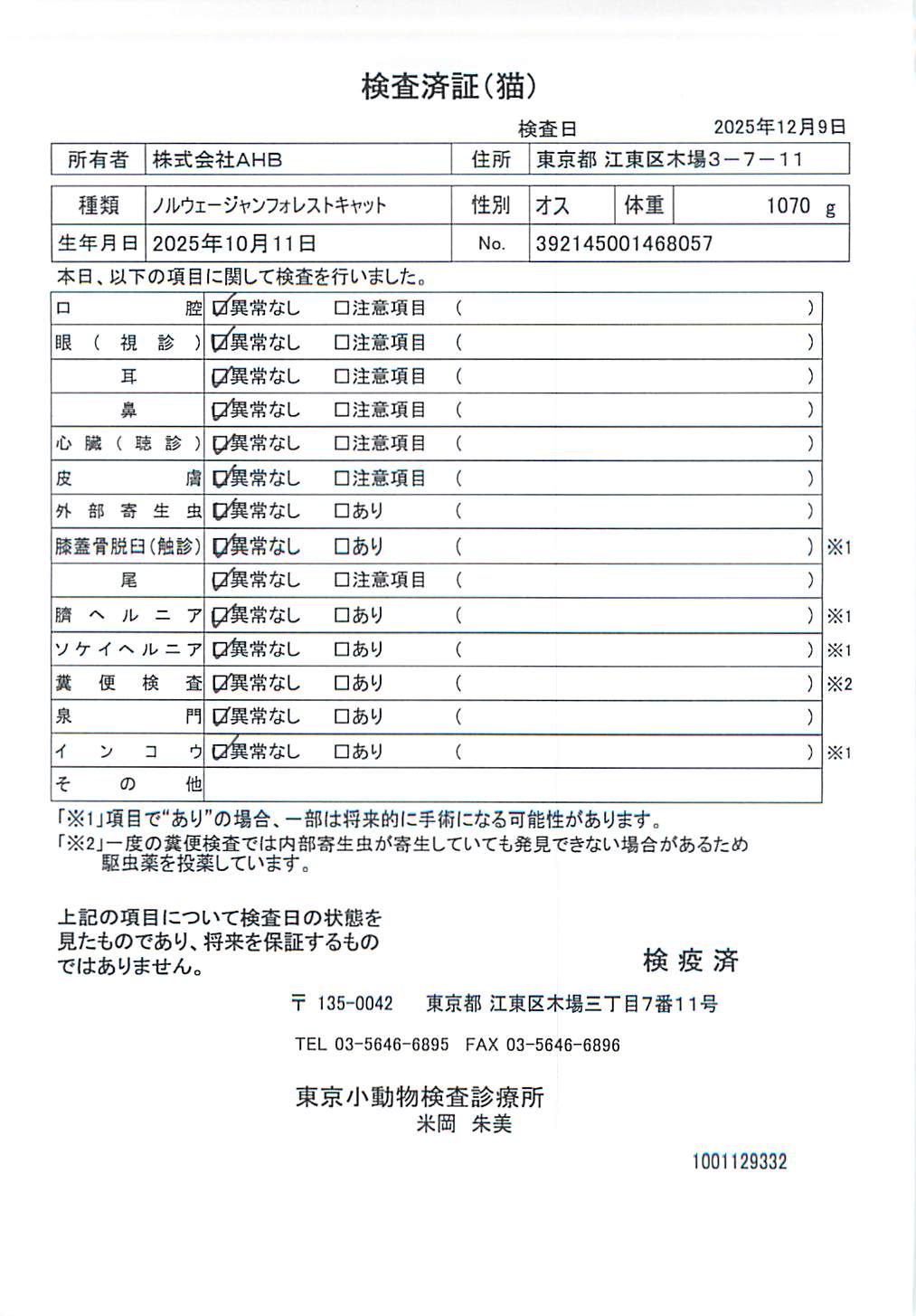ノルウェージャンフォレストキャット