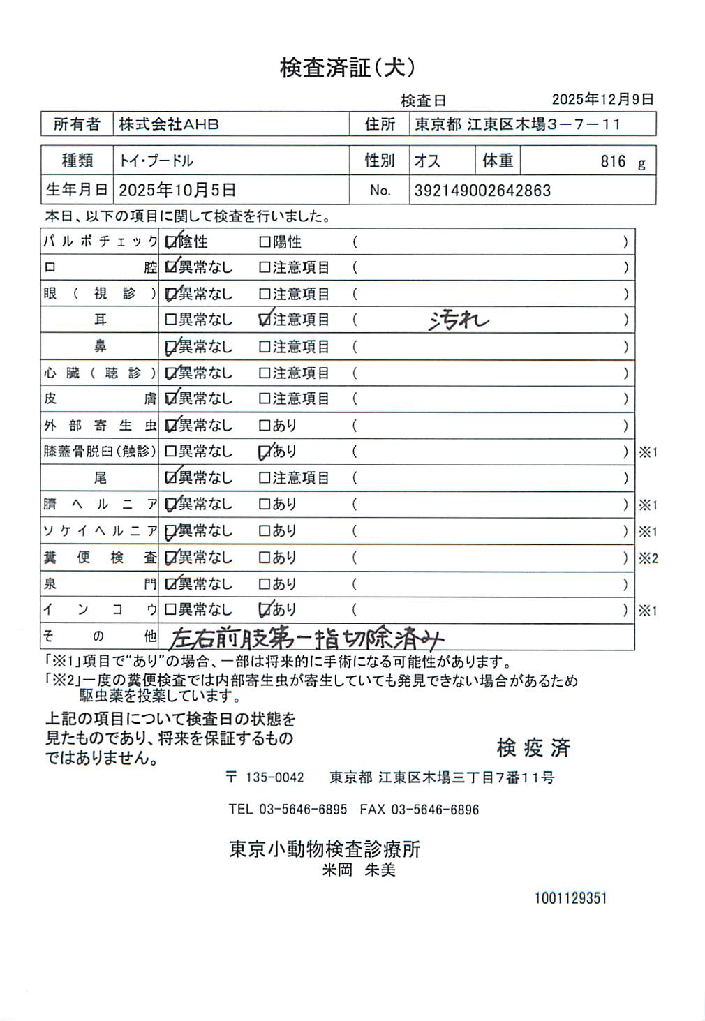 トイ・プードル
