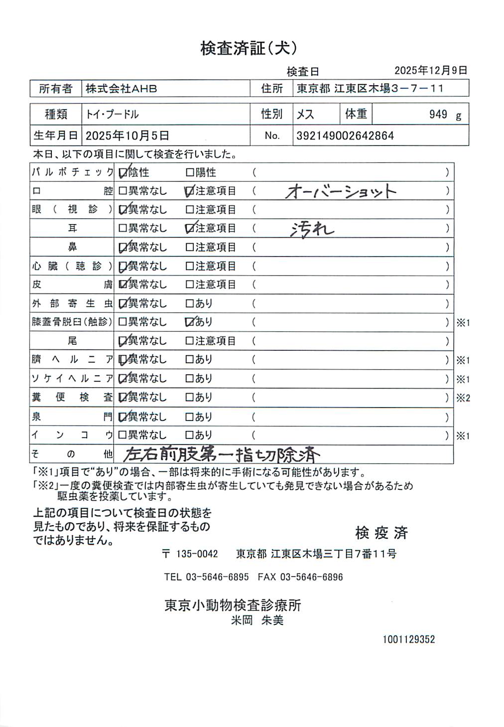 トイ・プードル