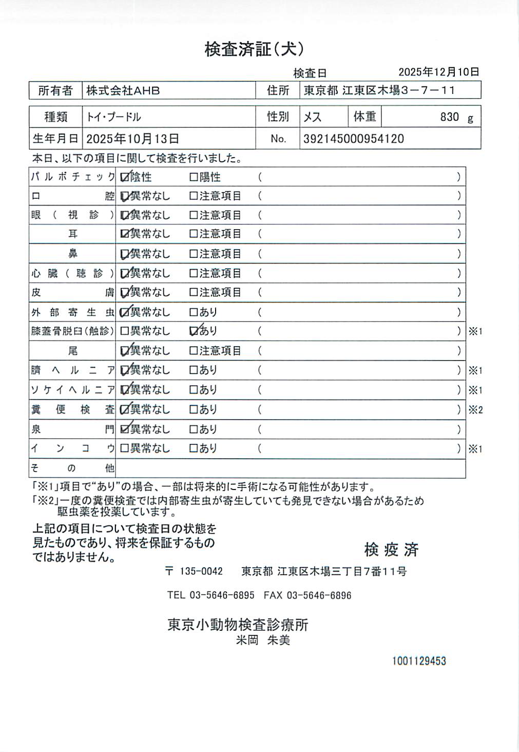 トイ・プードル