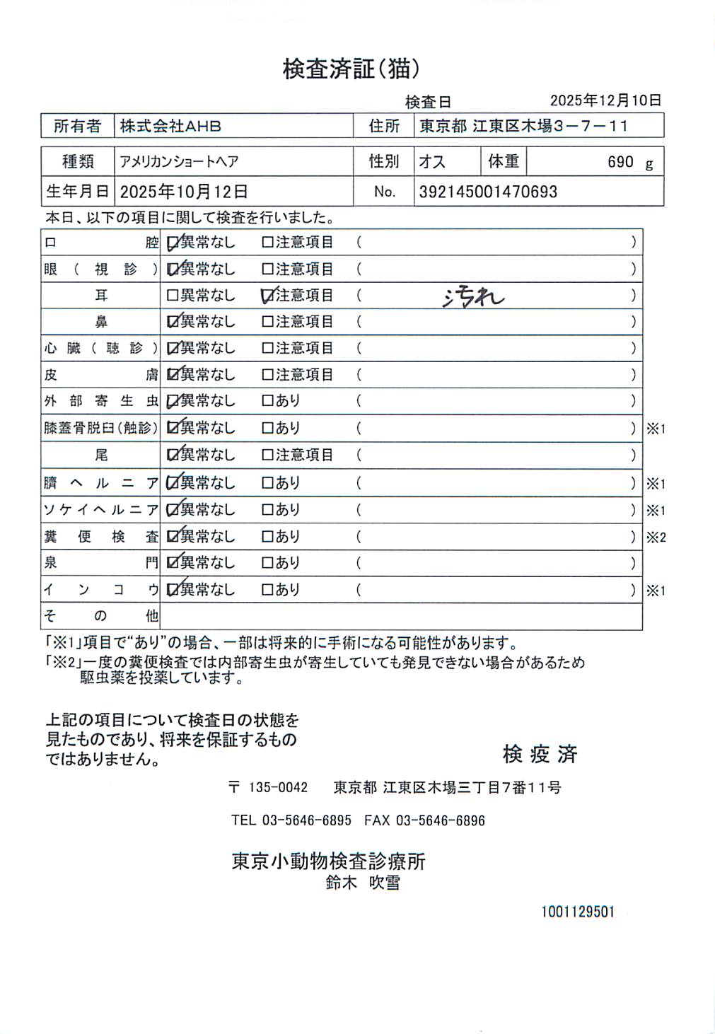 アメリカンショートヘア