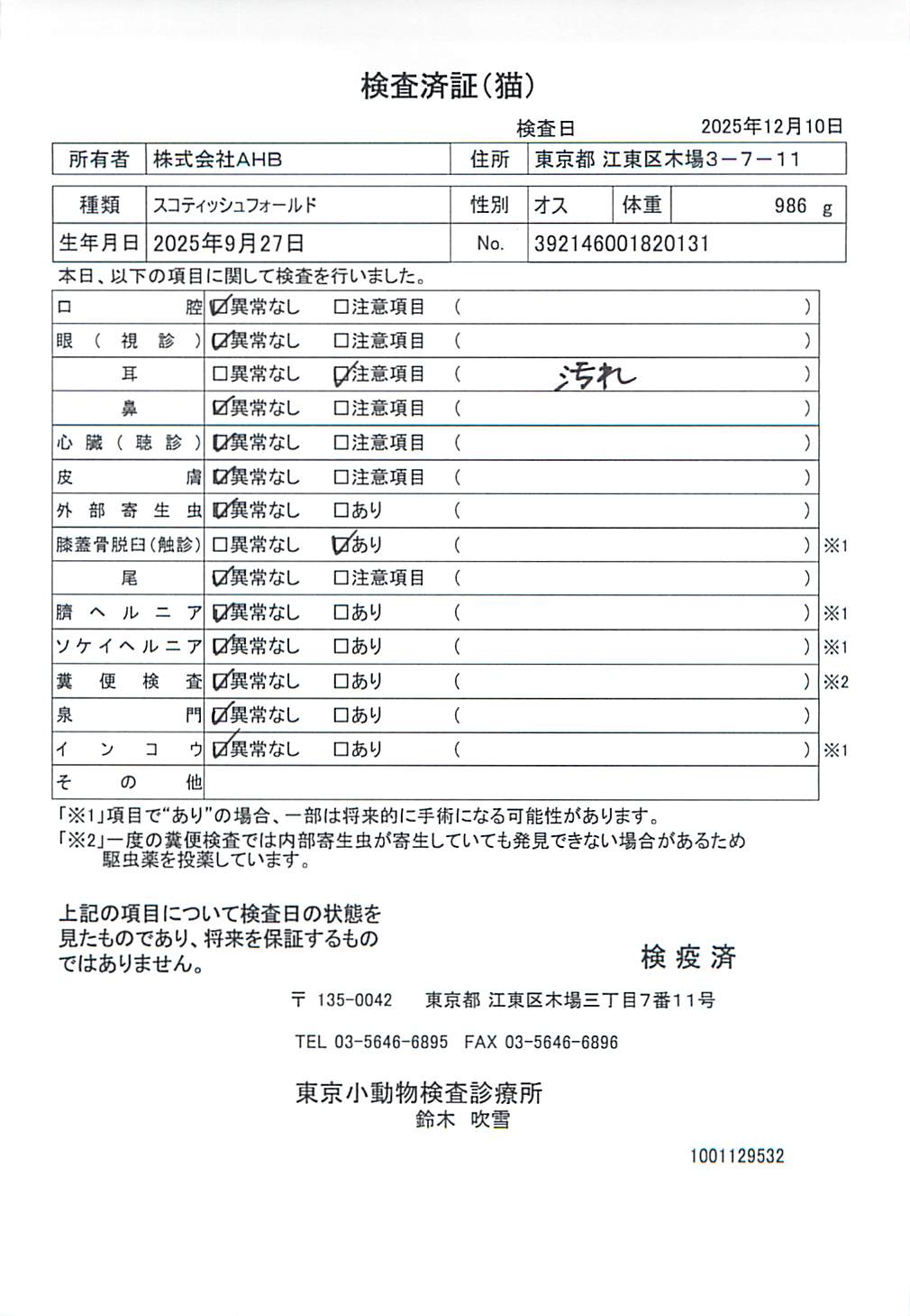 スコティッシュフォールド