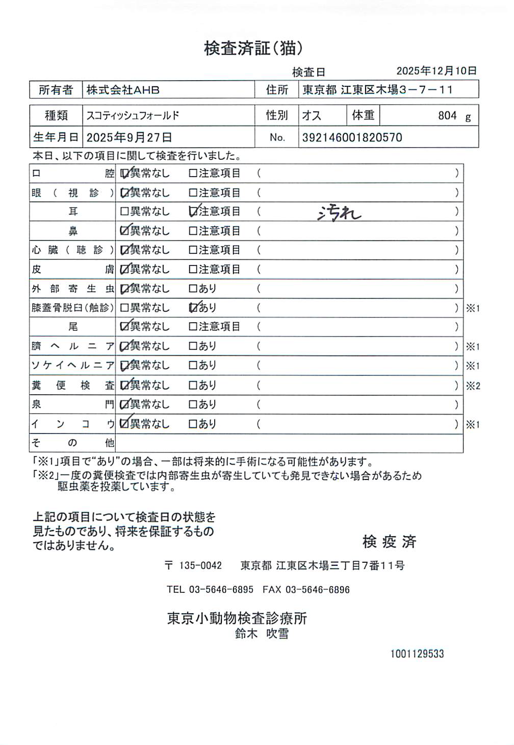 スコティッシュフォールド