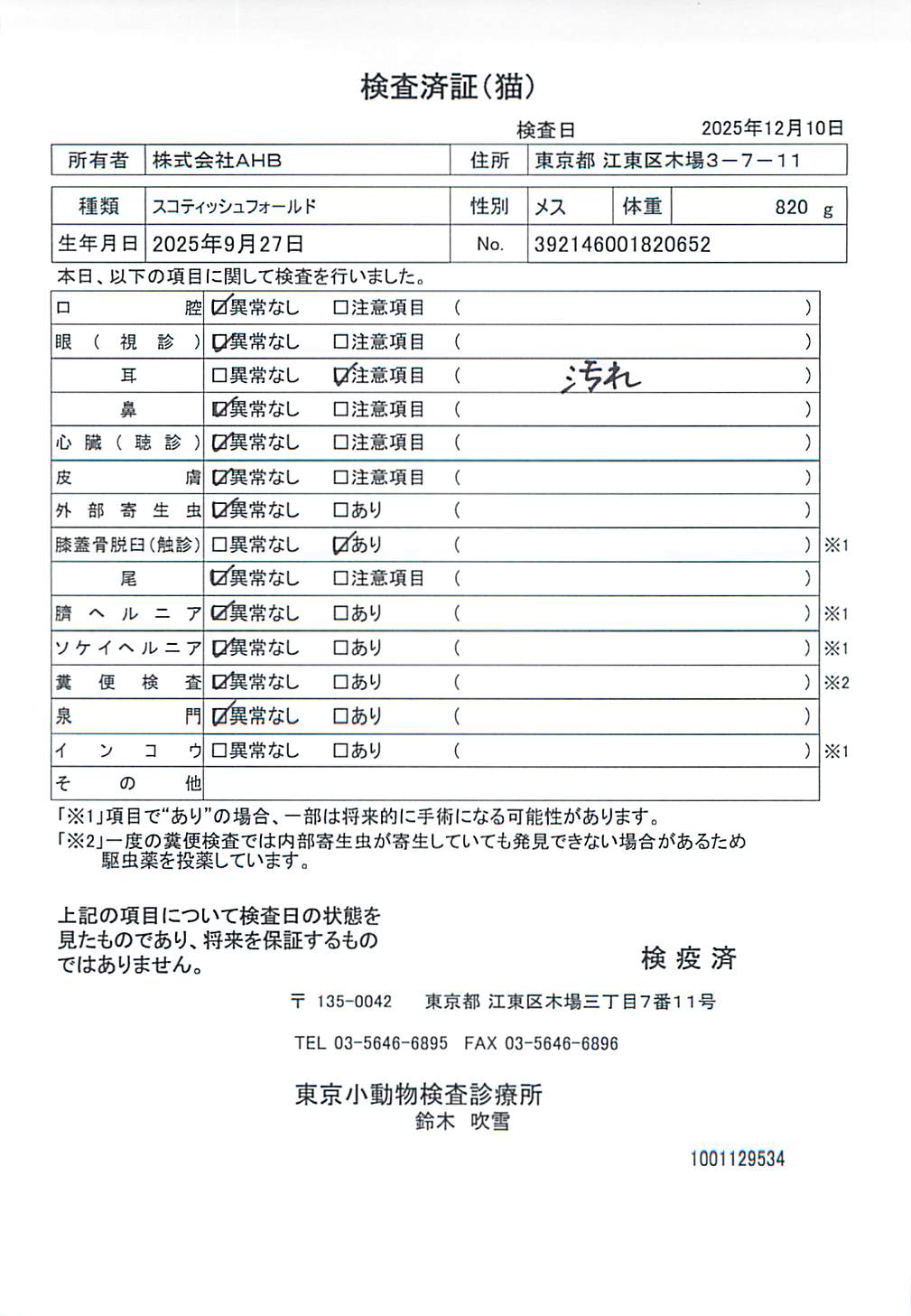 スコティッシュフォールド