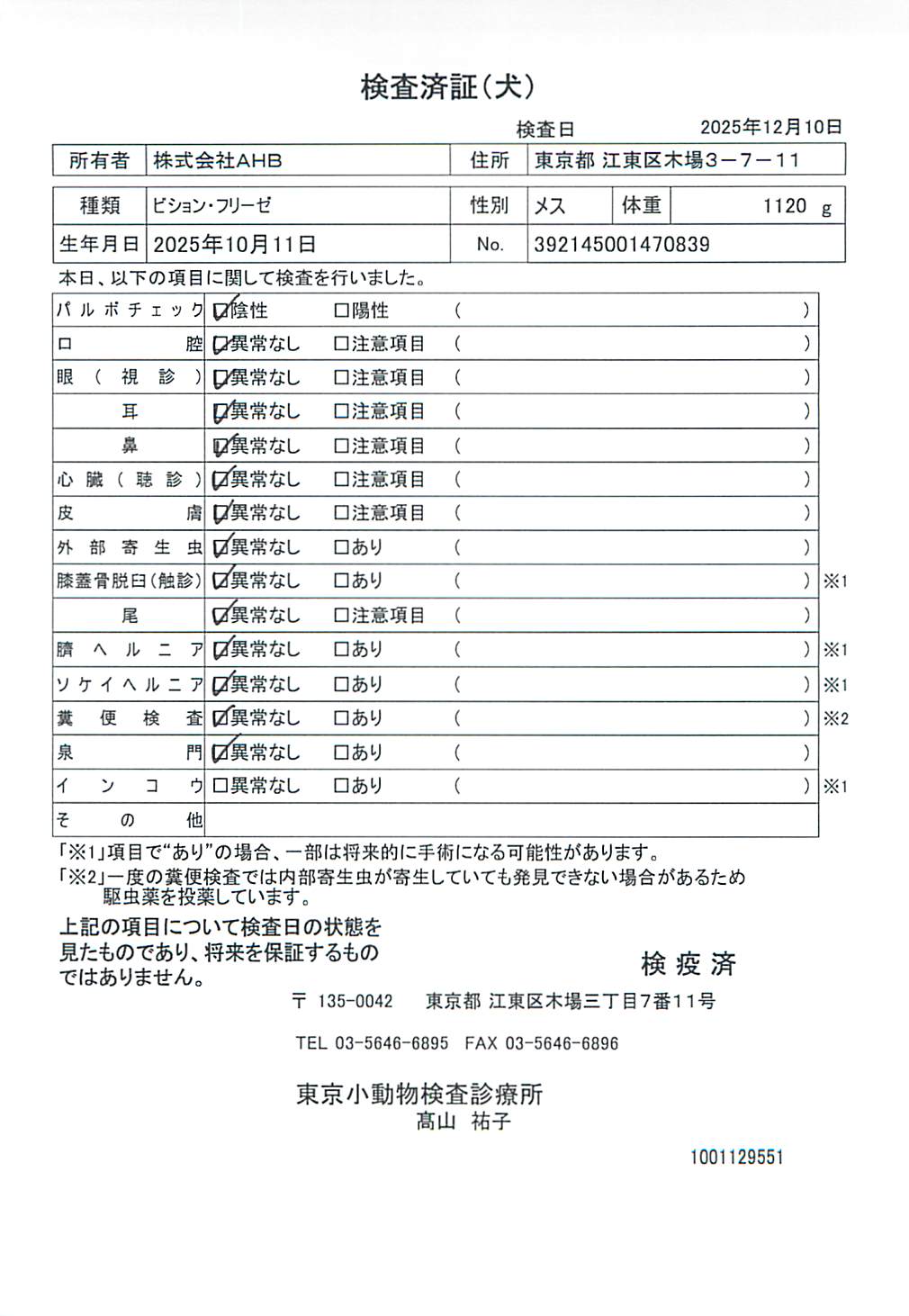 ビション・フリーゼ
