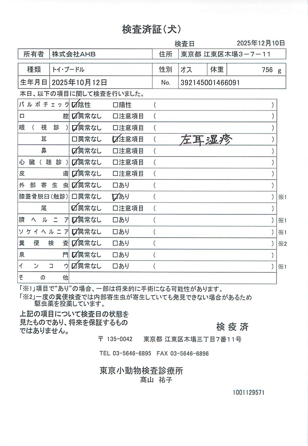 トイ・プードル