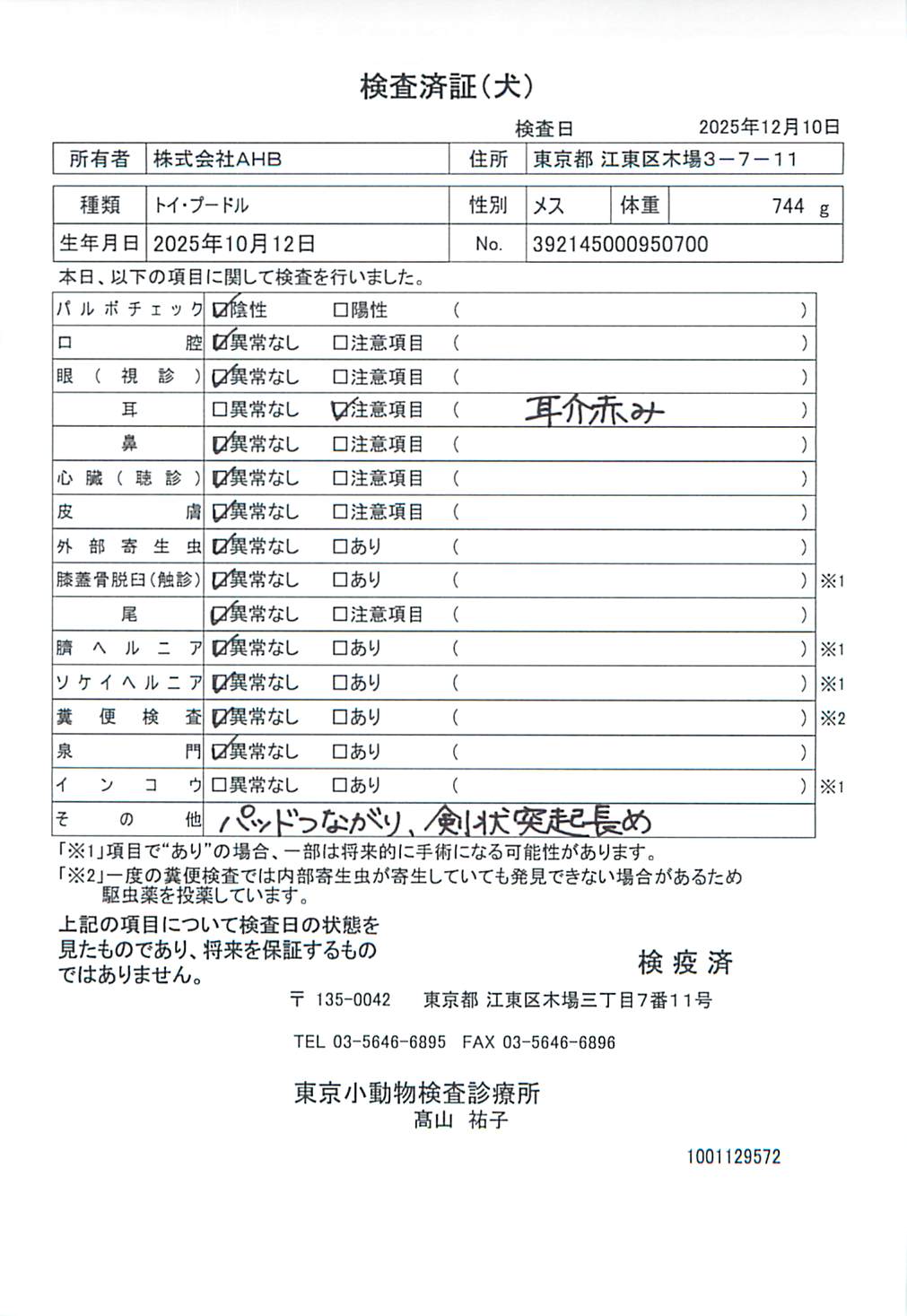 トイ・プードル