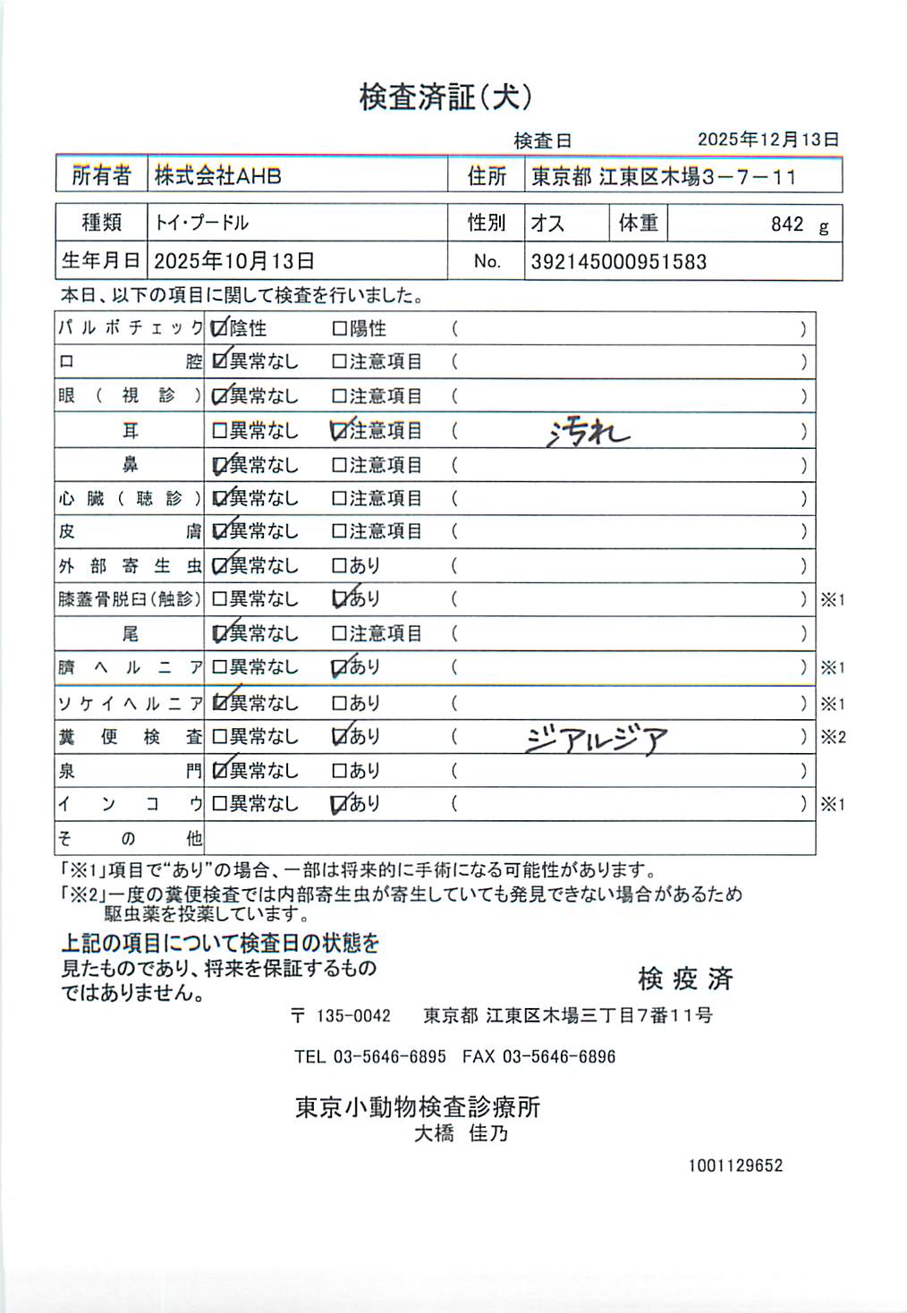 トイ・プードル