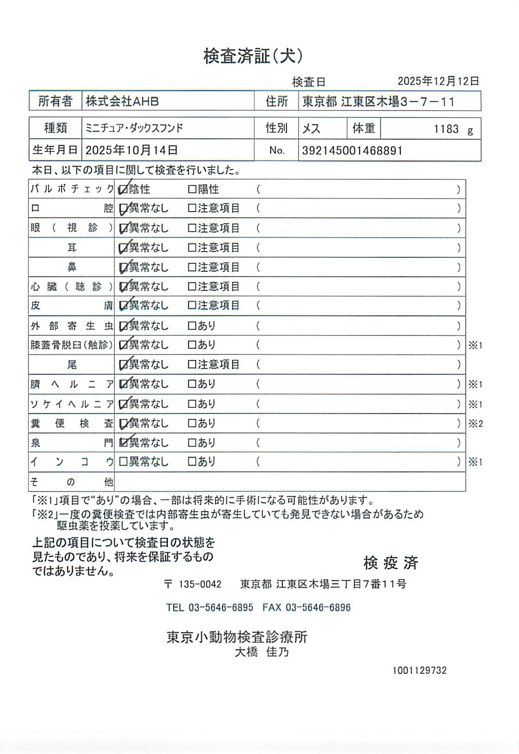 ミニチュア・ダックスフンド